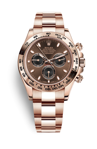 Rolex Cosmograph Daytona Everose / Chocolate (116505-0013) · illustrated reference 116505-0013