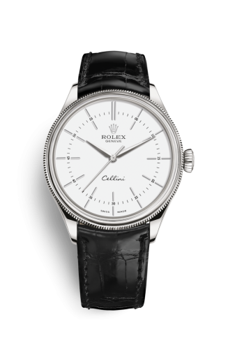 Rolex Cellini Time White Gold / White / Alligator Black (50509-0016) · illustrated reference 50509-0016
